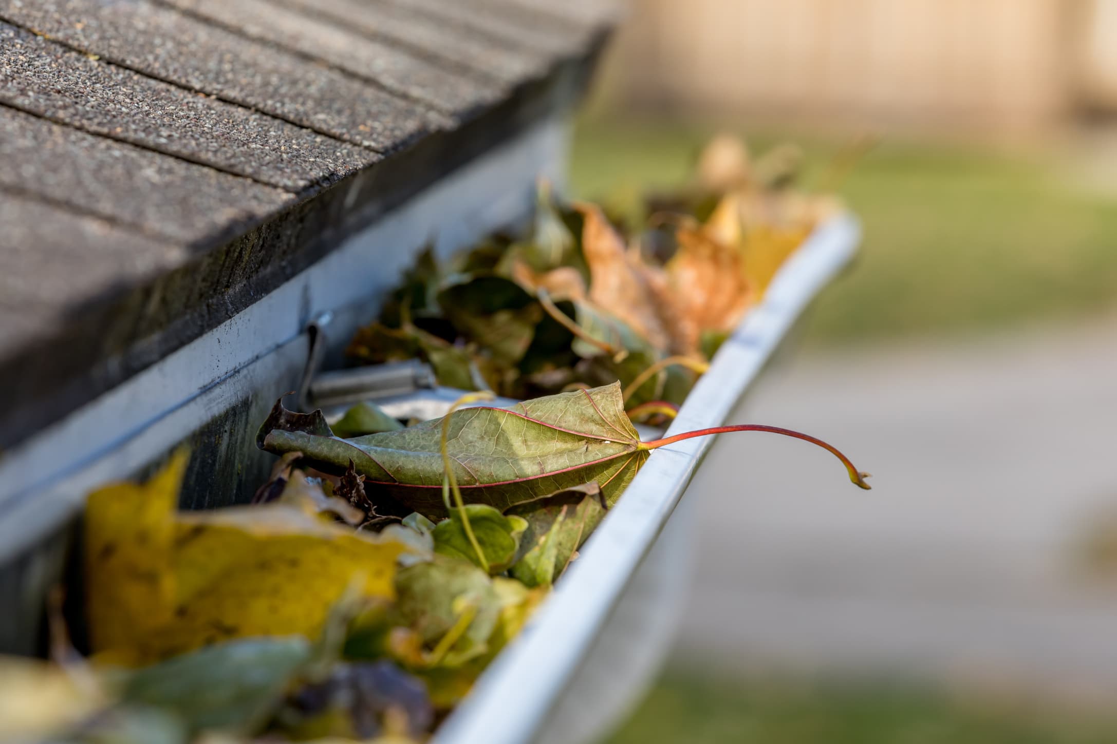 Clean Gutters in Charlotte, NC